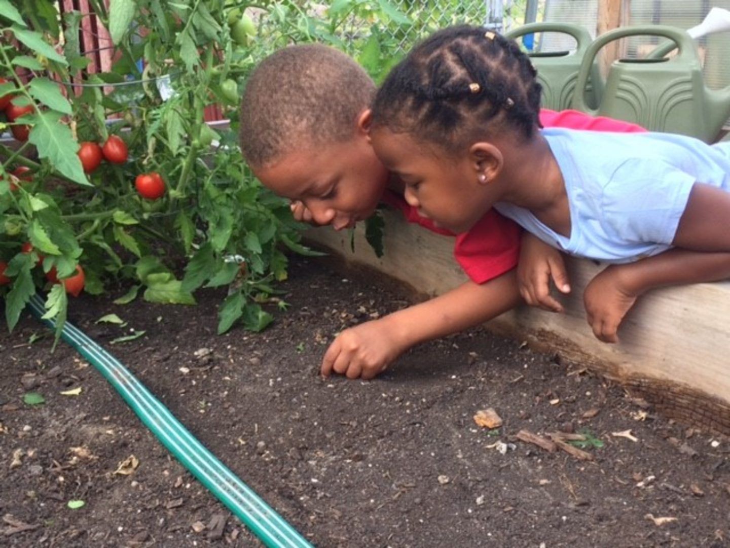 Kitchen Scrap Gardening Action For Healthy Kids   HIGHLAND CMTY SCHOOL MILWAUKEE WI Cargill 12102019 6129 1 1440x1080 